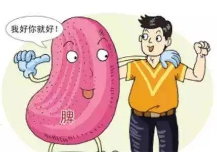 月经、气血、脾胃,直面肌瘤患者的三大问题!