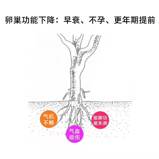 早衰!不孕!更年期提前! 卵巢囊肿手术对卵巢功能影响多多2.jpg